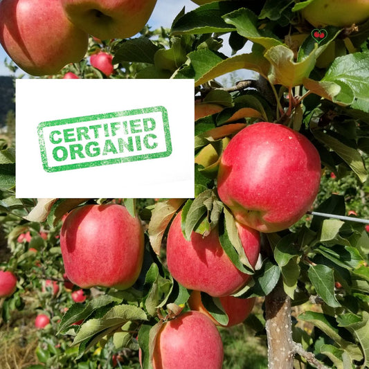 Certified Organic Ambrosia Apple x 40 lbs