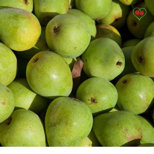 Pears - Anjou – BC - Reg. - x 40 lbs