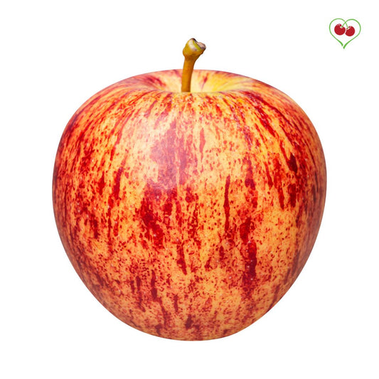 Apples - Gala - BC- Reg. - x 40 lbs