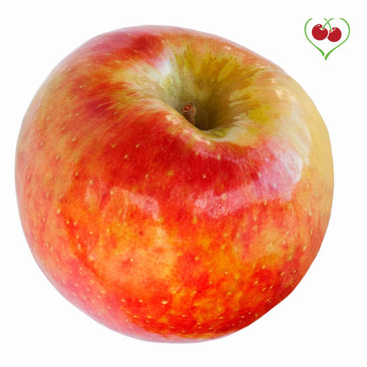 Apples – Honey Crisp - BC - Reg. - x 40 lbs